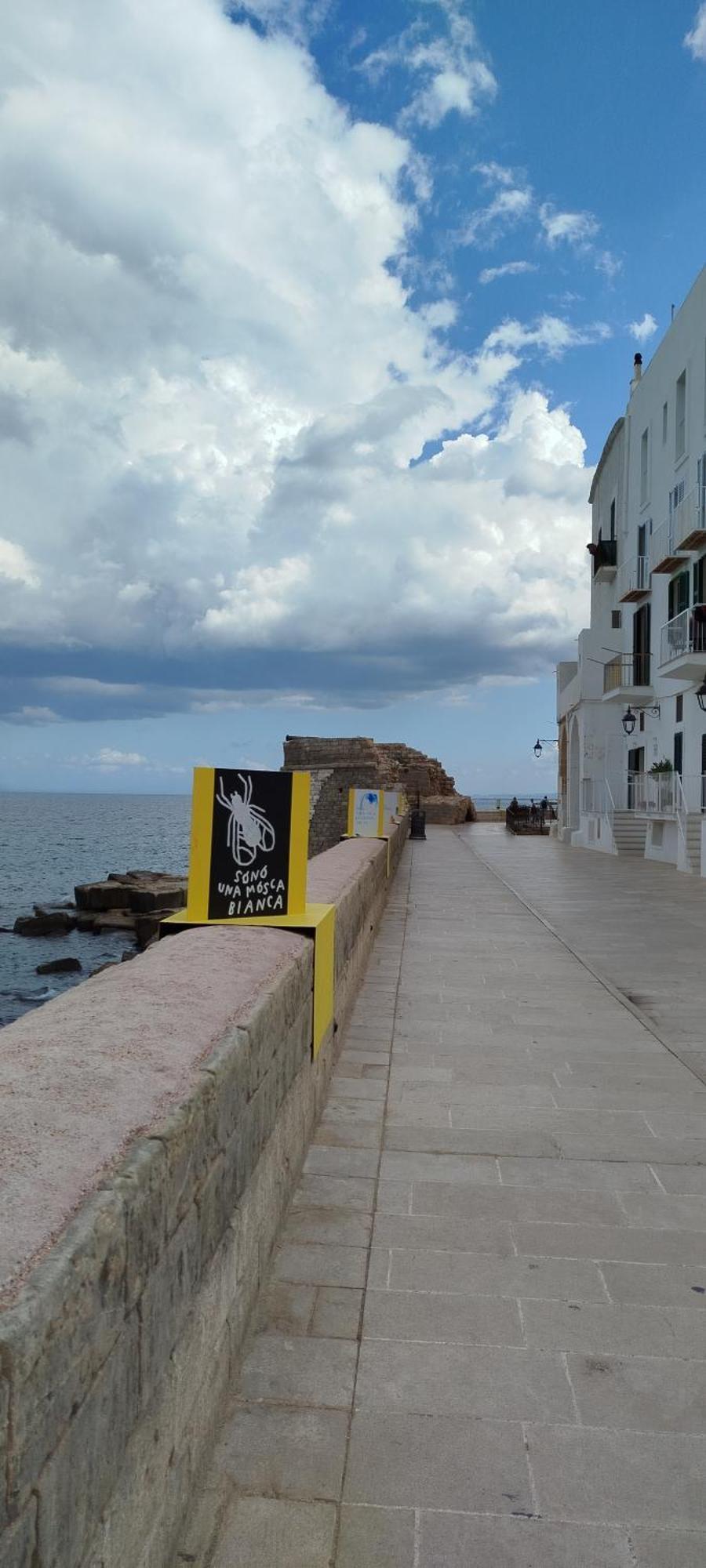 A Casa Di Ru, Bellissimo Appartamento Con Sauna Monopoli Exterior foto